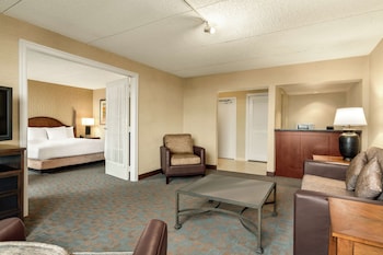 Suite, 1 King Bed