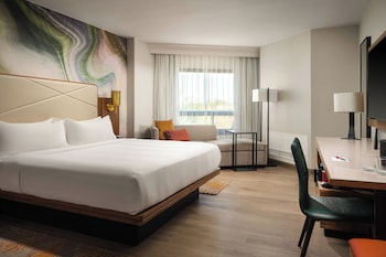 Room, 1 King Bed with Sofa bed