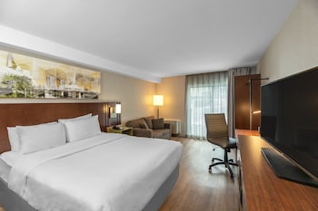 Room, 1 King Bed, Non Smoking, Ground Floor Pet-Friendly