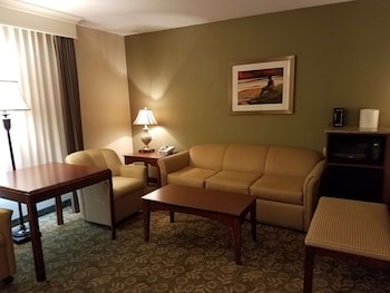 Suite, 1 King Bed with Sofa bed, Non Smoking, Refrigerator & Microwave (with Sofabed)