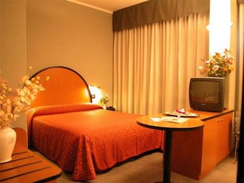 Double Room Single Use