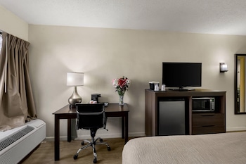 Standard Room, 1 King Bed, Non Smoking