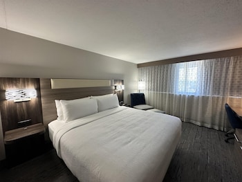 Standard Room, 1 King Bed, Accessible, Bathtub