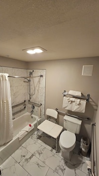 Room, 1 King Bed, Partial Ocean View