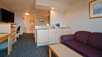 1 King Bed, Partial Ocean View (Non-Pet Room)