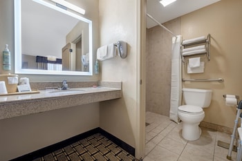 Standard Room, 1 King Bed, Accessible, Refrigerator & Microwave (Walk-in Shower)