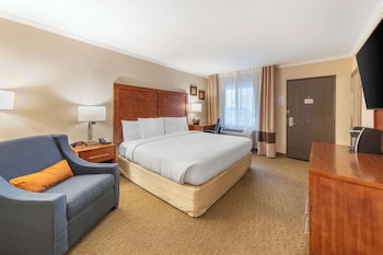 Standard Room, 1 King Bed, Accessible, Non Smoking