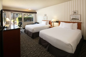 Premium Room, 2 Double Beds