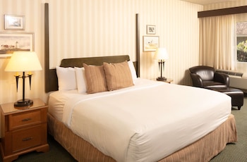 Room, 1 King Bed, Accessible