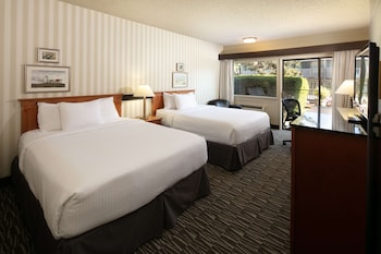 Premium Room, 2 Double Beds