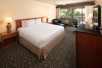 Room, 1 King Bed, Accessible