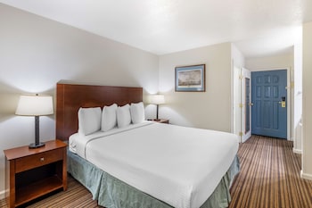 Standard Room, 1 King Bed, Non Smoking, Refrigerator & Microwave