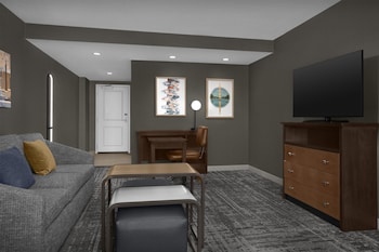 Suite, 1 King Bed with Sofa bed, Accessible, Kitchen (Roll-in Shower)