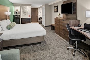 Suite, 1 King Bed with Sofa bed