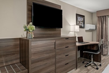 Standard Suite, 1 King Bed, Accessible