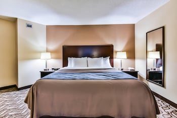 Room, 1 King Bed, Non Smoking