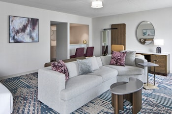 Suite, 1 King Bed with Sofa bed