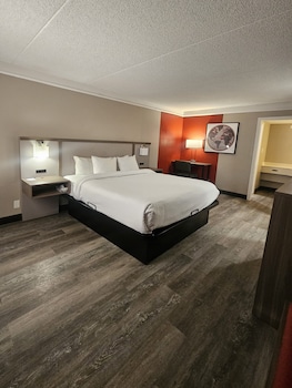 Deluxe Room, 1 King Bed, Non Smoking (Pet-friendly)