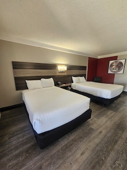 Deluxe Room, 2 Double Beds, Non Smoking (Pet-Friendly)
