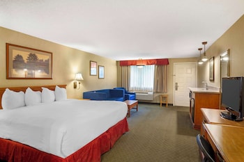 Standard Room, 1 King Bed, Accessible, Bathtub