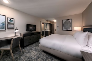 Room, 1 King Bed