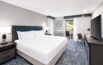 Room, 1 King Bed, Bathtub, Garden View