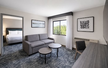 Suite, 1 King Bed with Sofa bed, Microwave