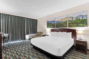 Room, 1 King Bed, Accessible, Non Smoking