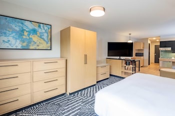 Room, 1 King Bed with Sofa bed, Accessible Bathtub