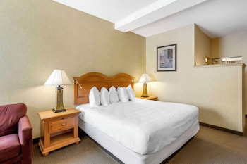 Standard Room, 1 King Bed, Accessible, Non Smoking