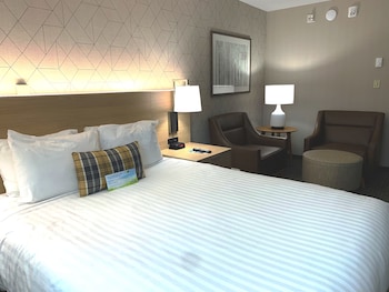 Studio Suite, 2 Queen Beds, Non Smoking