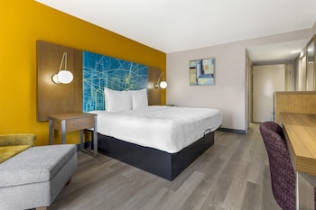 Standard Room, 1 King Bed, Accessible, Refrigerator & Microwave