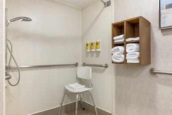 Standard Room, 1 King Bed, Accessible, Refrigerator & Microwave