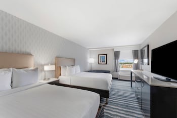Premium Suite, 2 Double Beds, Microwave