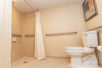 Room, 1 King Bed, Accessible, Executive Level (Roll-In Shower)