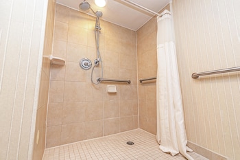 Room, 1 King Bed, Mobility Accessible (Roll-In Shower)