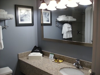 Standard Room, 1 King Bed, Non Smoking, Refrigerator & Microwave