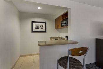 Suite, 1 King Bed, Non Smoking, Refrigerator & Microwave (with Sofabed)