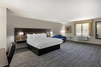Suite, 1 King Bed, Non Smoking, Refrigerator & Microwave (with Sofabed)