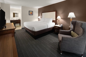 Room, 1 King Bed, Non Smoking (Atrium)