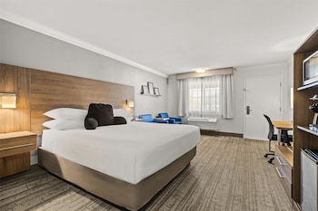 Room, 1 King Bed, Non Smoking