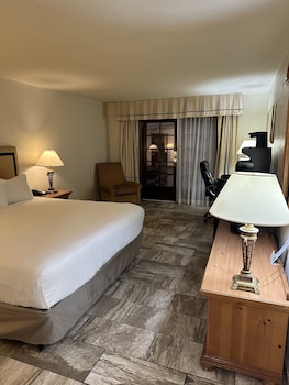 Deluxe Room, 1 King Bed, Non Smoking