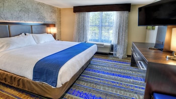 Suite, 1 King Bed with Sofa bed