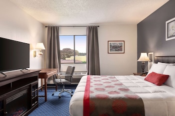 Room, 1 King Bed, Non Smoking, Garden View