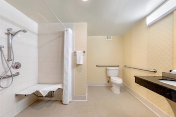 Suite, 1 King Bed, Accessible with Roll-in Shower, Non Smoking