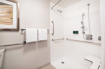 Room, 1 King Bed with Sofa bed (Mobility/Hearing Access, Roll-In Shwr)