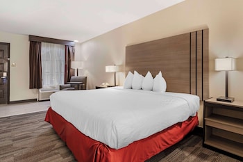 Standard Room, 1 King Bed, Non Smoking