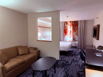 Executive Suite, 1 King Bed with Sofa bed