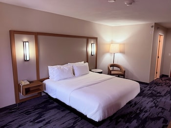 Room, 1 King Bed