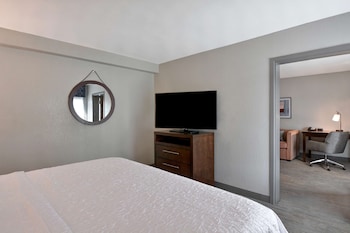Suite, 1 King Bed with Sofa bed, Non Smoking